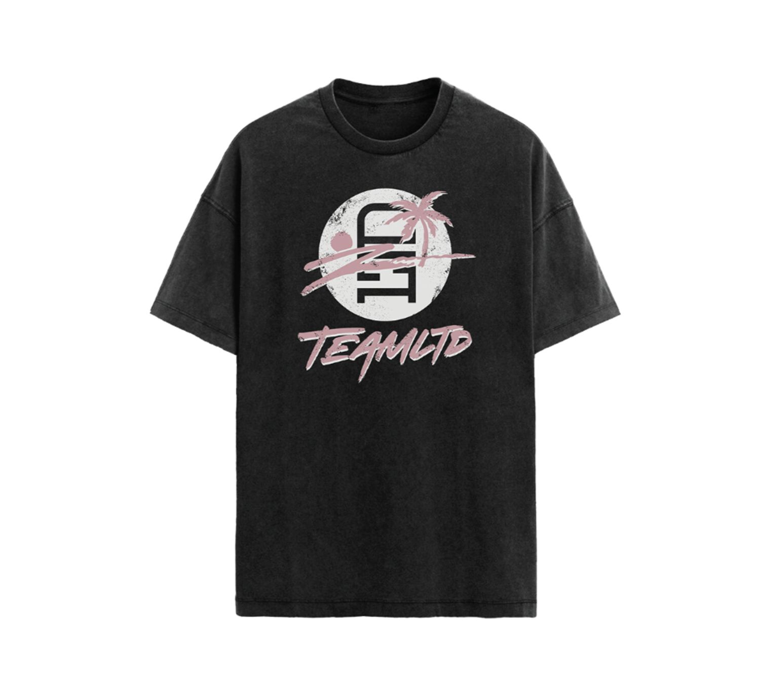 TEAMLTD Logo Palm Tee V-Black