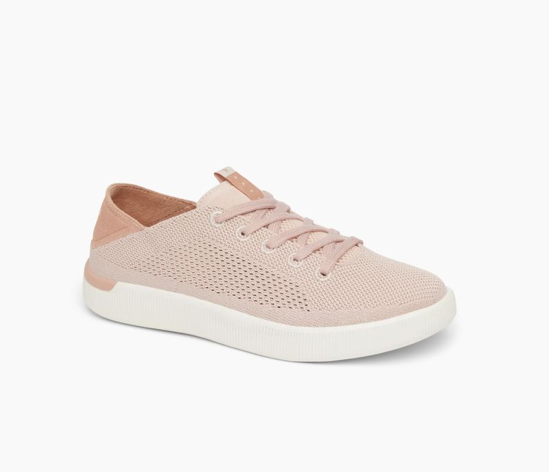 Reef Neptune Cameo Rose