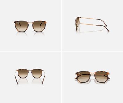 Rayban 4451 Tort Brown