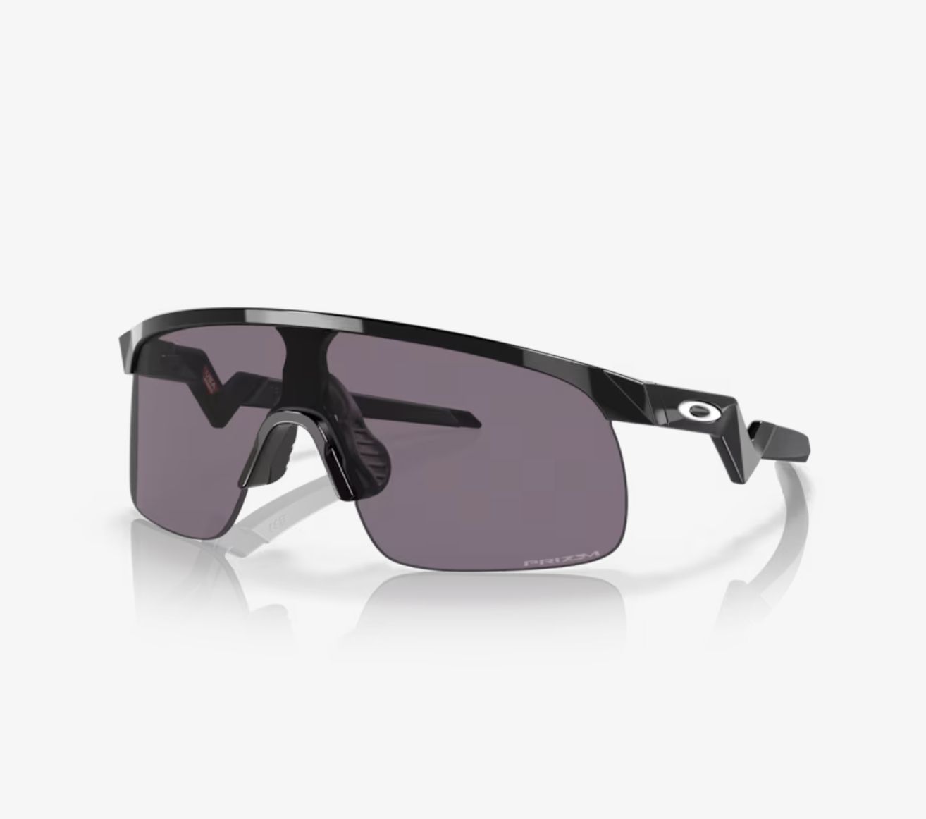Oakley Resistor Black With Prizm Black Iridium Mirror