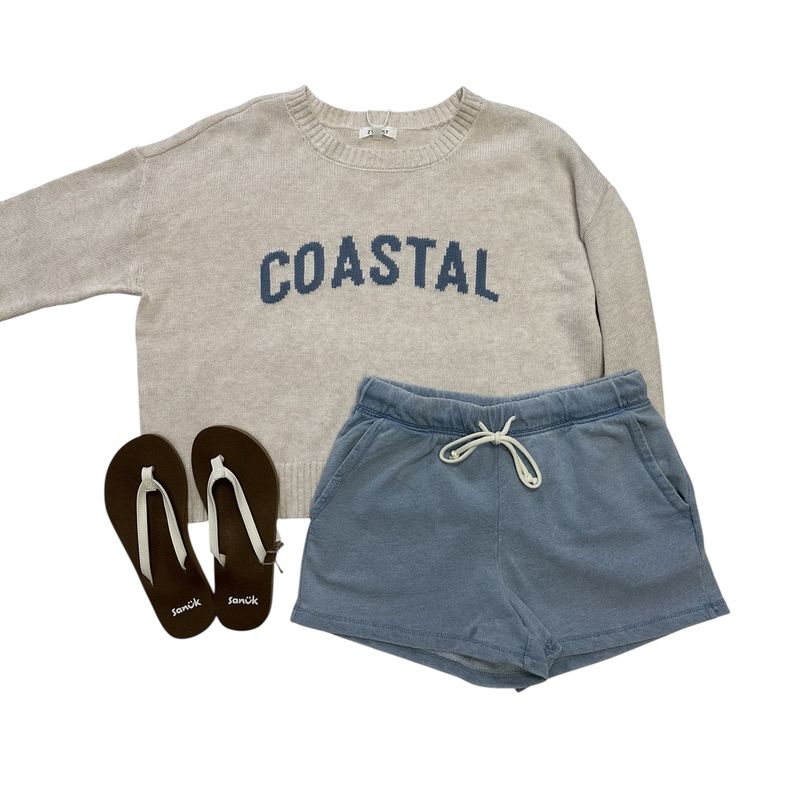 Z Supply SIENNA COASTAL SWEATER