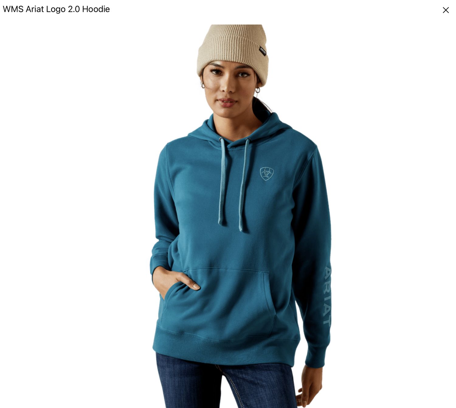 Ariat Logo 2 Hoodie Dragonfly