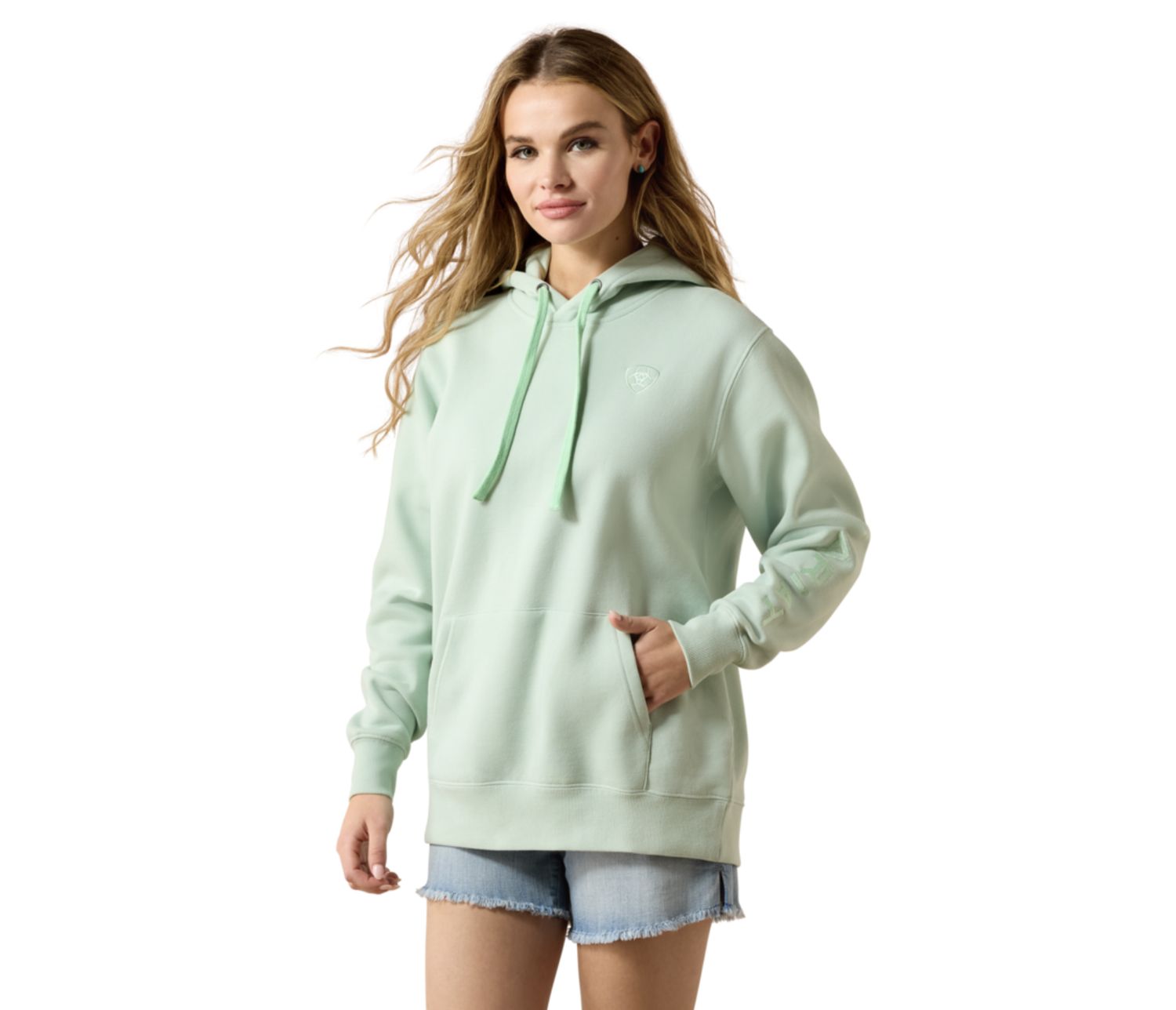Ariat Logo 2 Hoodie Silt Green