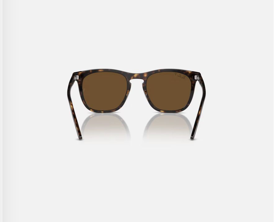 Rayban 2210 Havana Polar Brown