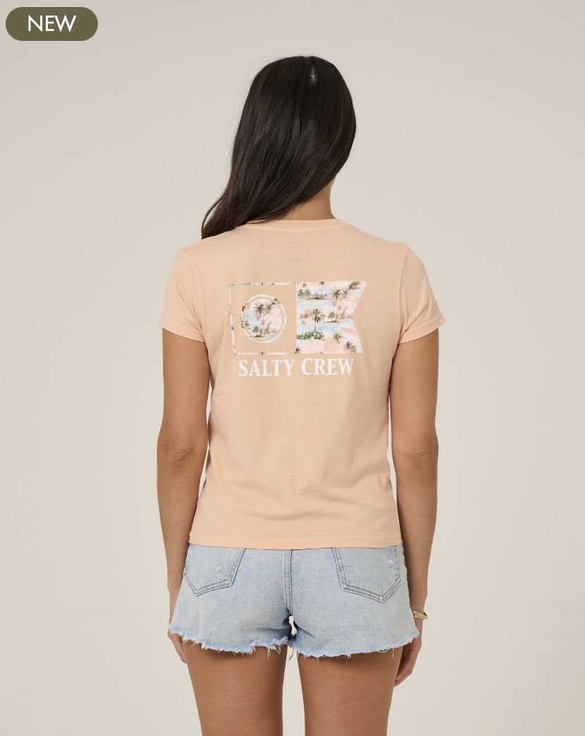 Salty Crew Flagship Fill Modern Tee - Apricot