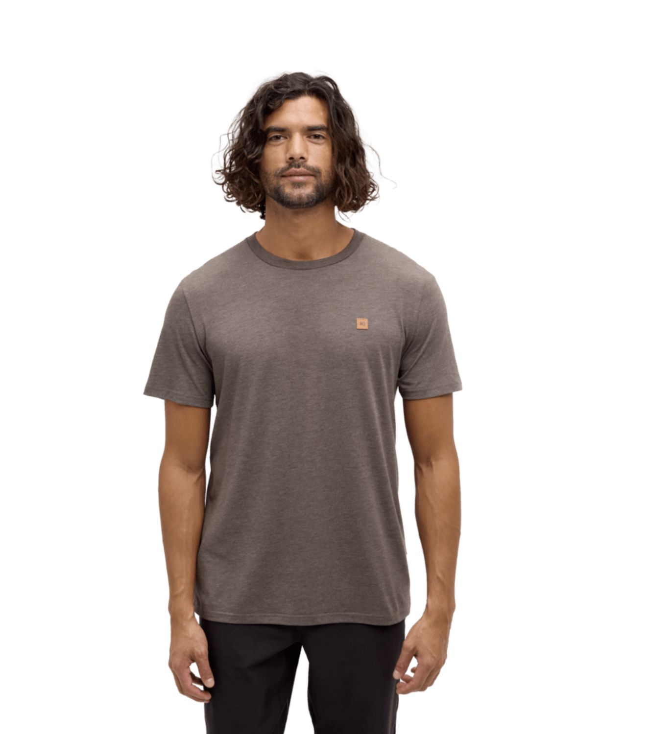 tentree Baker T-Shirt Ashwood