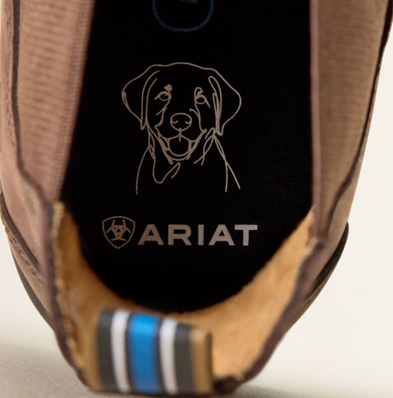 Ariat Cooper Chelsea Boot Brunette