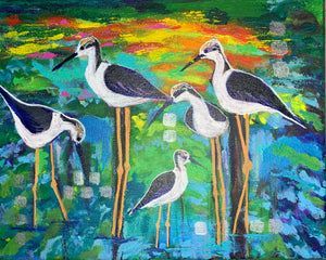 Aviary Collection