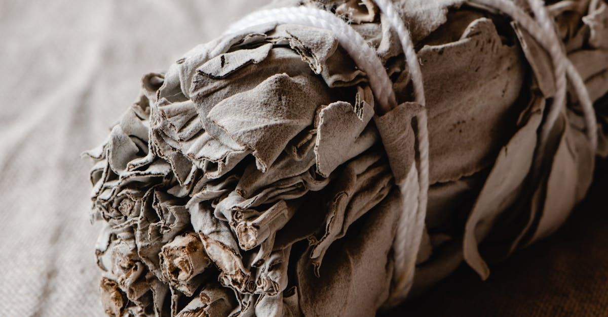 SMUDGE STICK White Sage)