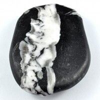 CHRYSATHEMUM Tumbled
