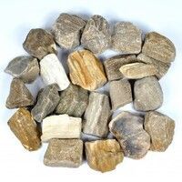 PETRIFIED WOOD Rough