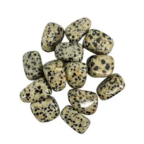 DALMATION JASPER Tumbled