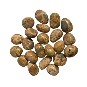 LEOPARD SKIN JASPER Tumbled