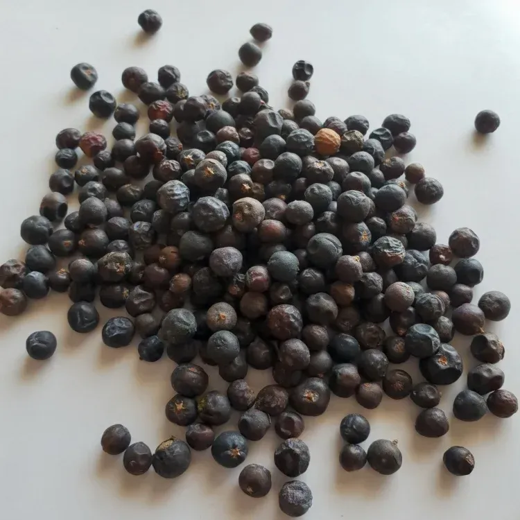 JUNIPER BERRIES
