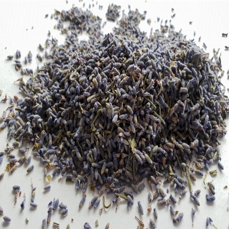 LAVENDER BLUE