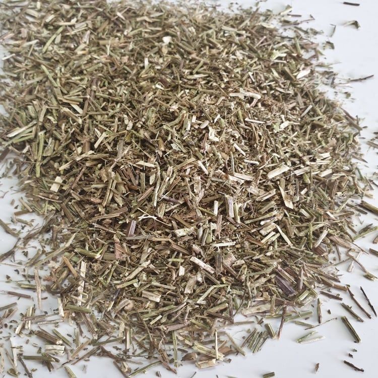 VERVAIN