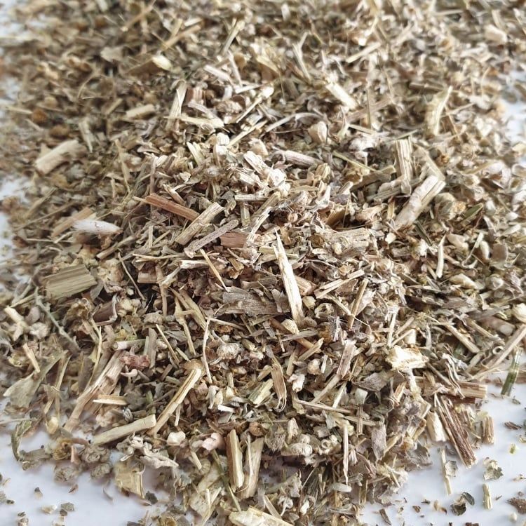 WORMWOOD