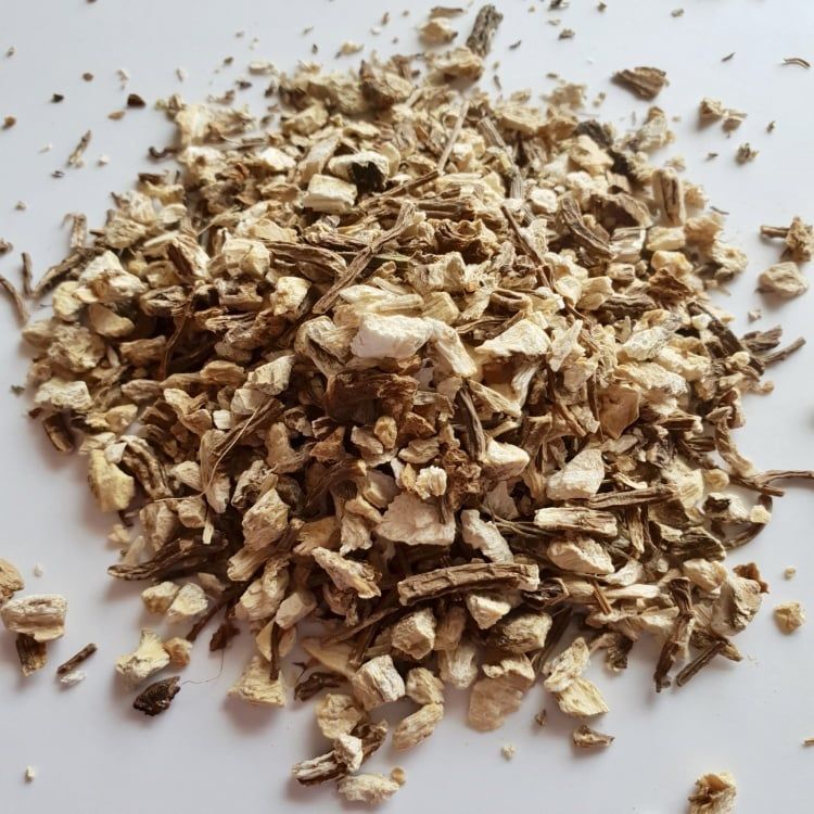 ANGELICA ROOT