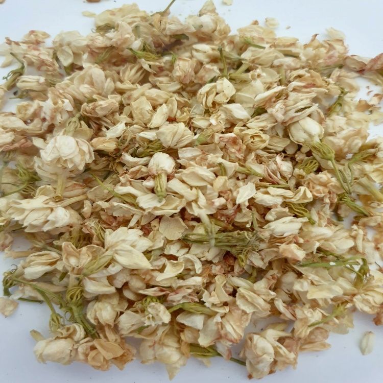JASMINE FLOWER