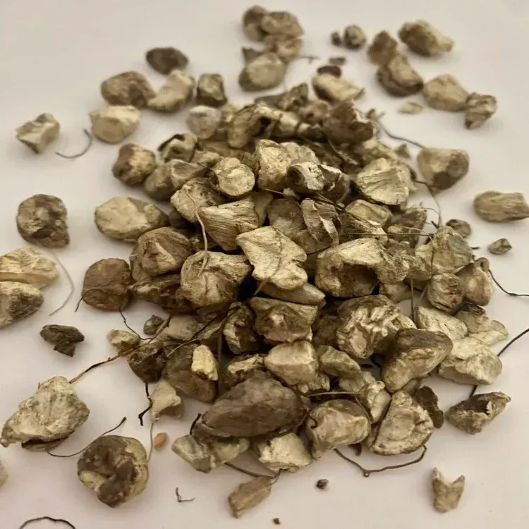 STONE ROOT
