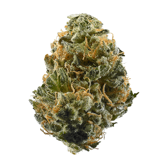 Haze Premium