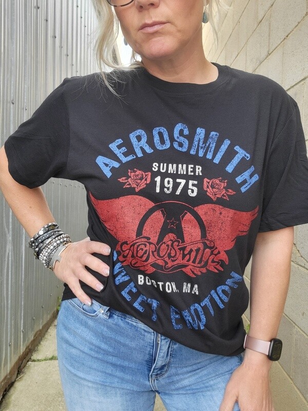 AEROSMITH TEE #aero102go