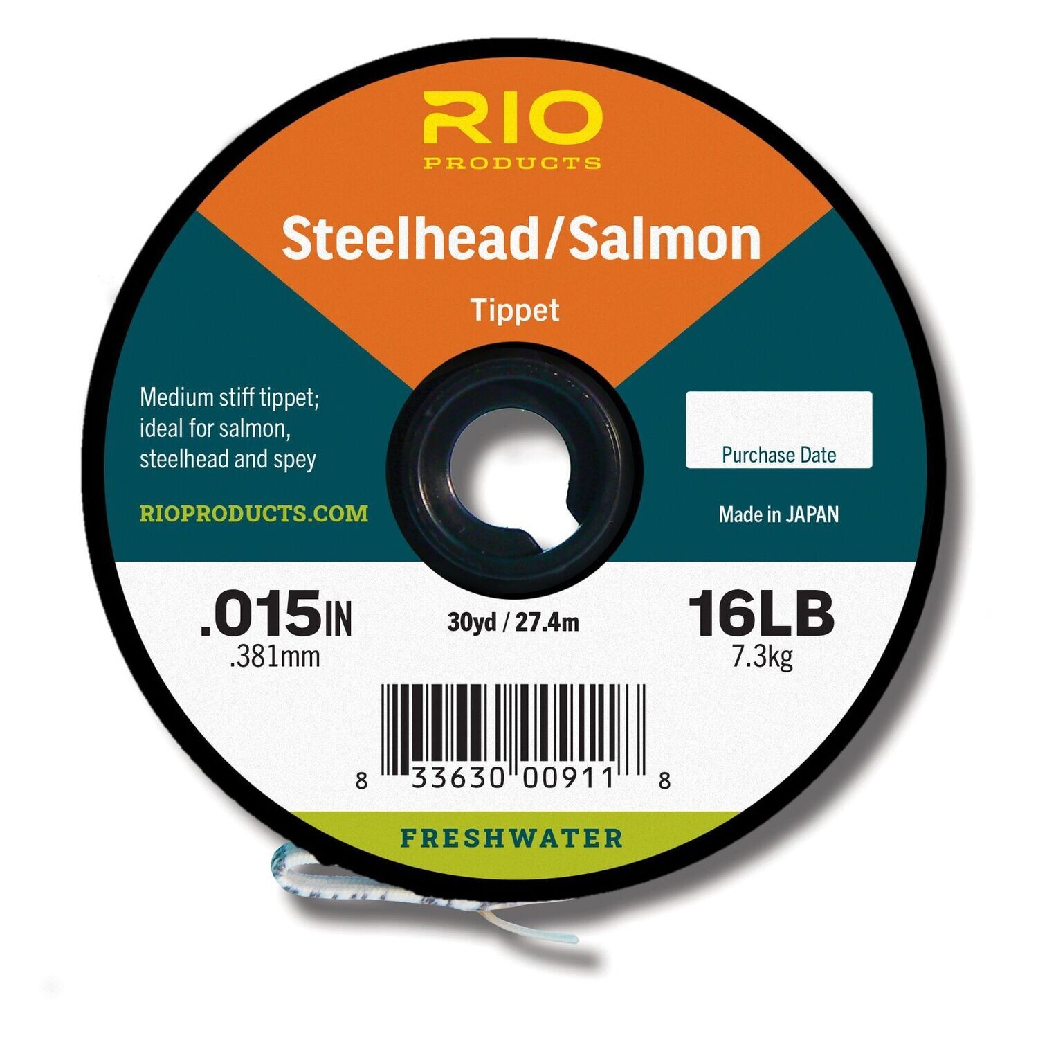 Steelhead Salmon