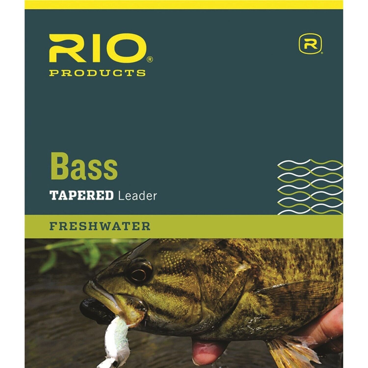 Bass - Leaders