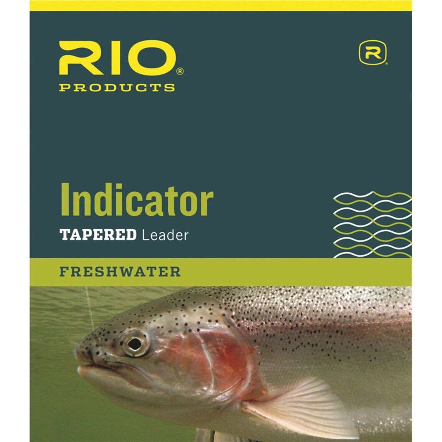 Indicator - Leaders