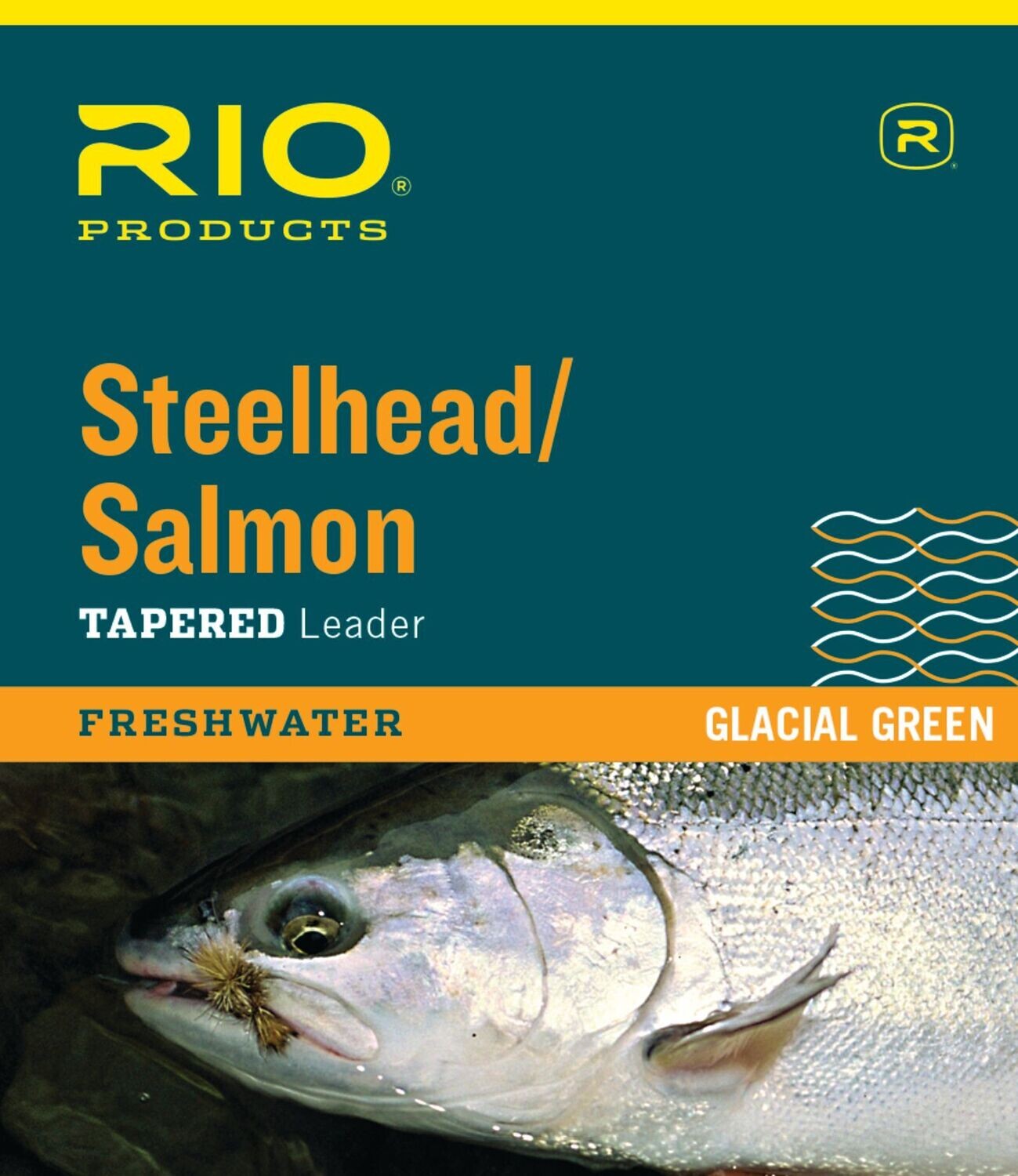Steelhead Salmon - Leaders