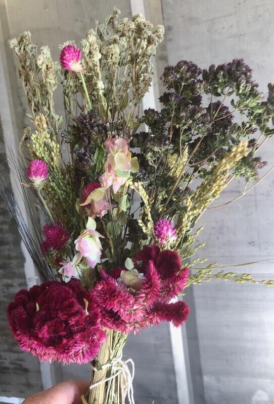Bird Bouquets (larger single for any size bird)