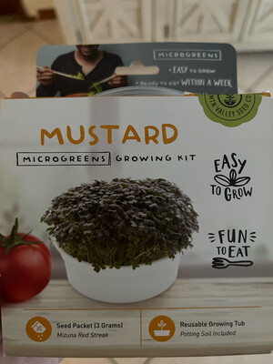 Mini Microgreens Kit - Mustard