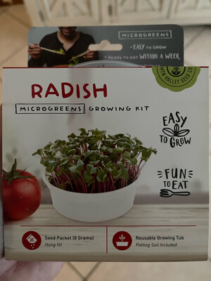 Mini Microgreens Kit - Radish