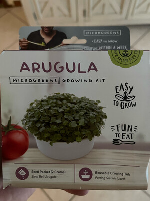 Mini Microgreens Kit - Arugula