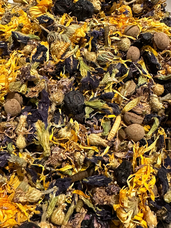 SOFTBILL BIODIVERSITY BIRD BITES FORAGING BLEND