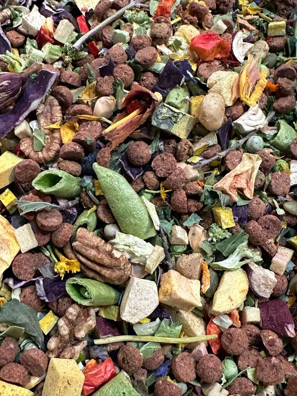 Biodiversity Freeze-Dried Bird Bites (Medium-Large Chunks For Any Size Bird) 4oz Bag