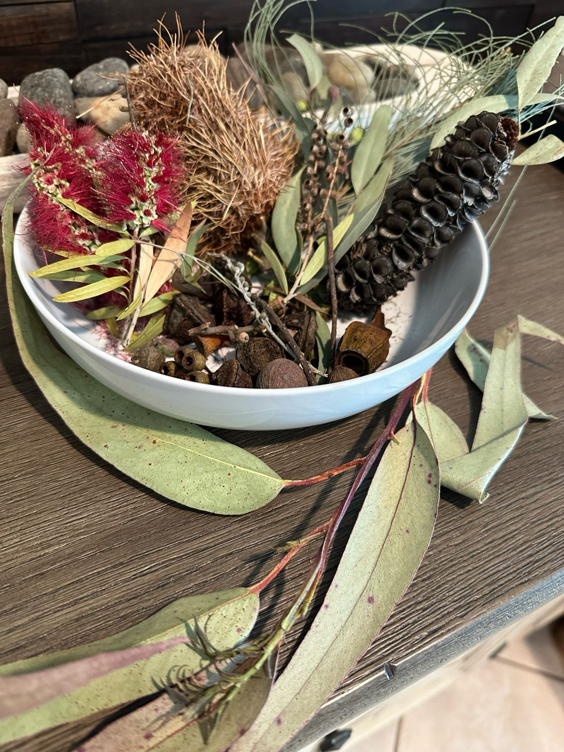 Biodiversity Go Wild Down Under! Australian Foraging Blend ‘Too!