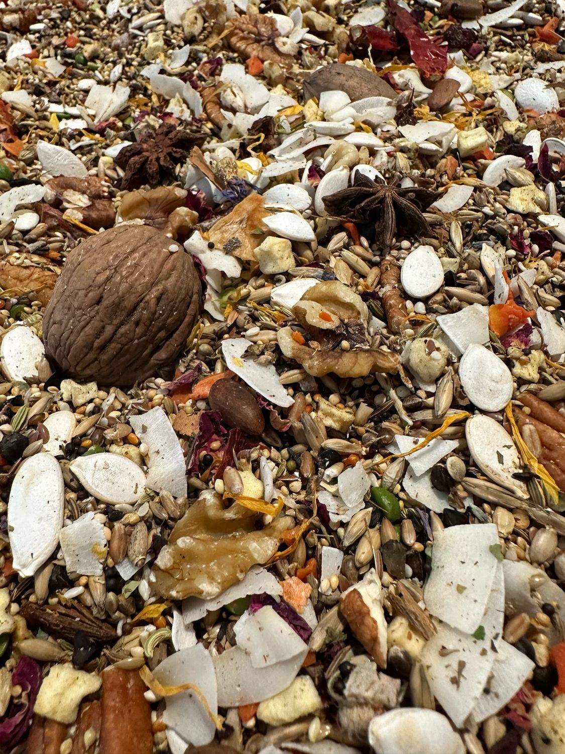 Biodiversity Natural Selection Blends:  Large Parrot (1lb bag)