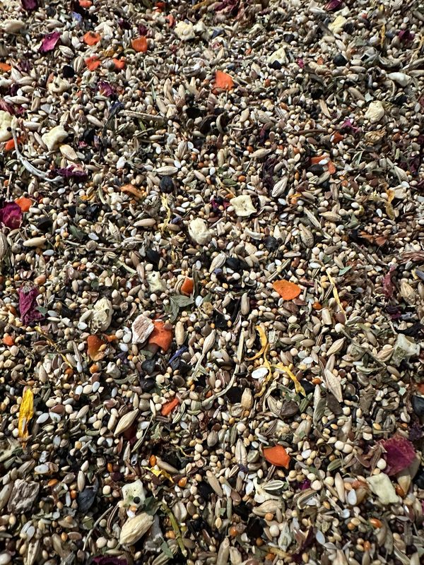 Biodiversity Natural Selection Blends:  Small Parrot (3lb bag)