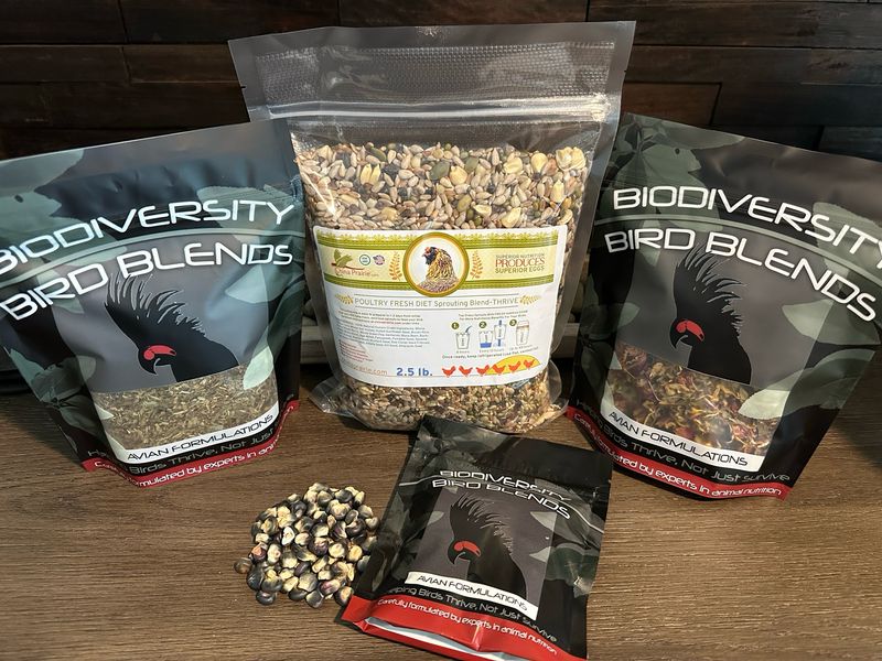 Poultry Power! Bundle Box