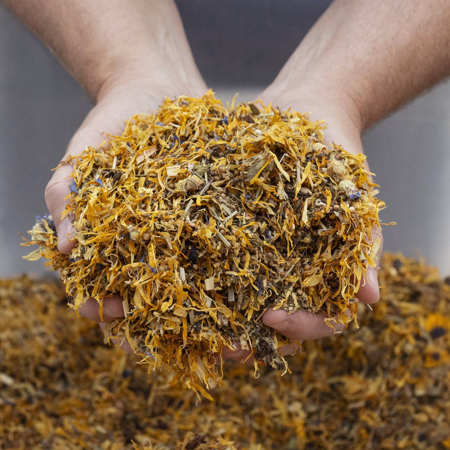 Biodiversity 4oz Tea Blends - Custom 3pk