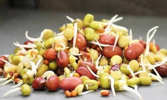 Handy Pantry Bean Salad Sprouting Add-on