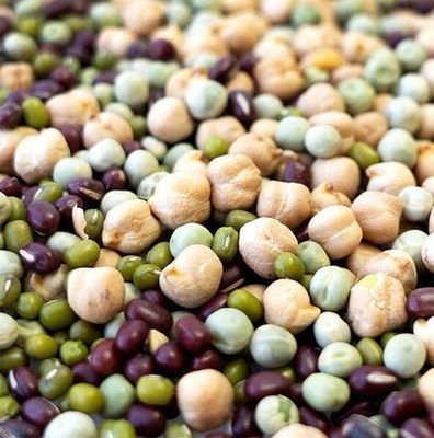 Handy Pantry Protein Powerhouse Sprouting Add-on