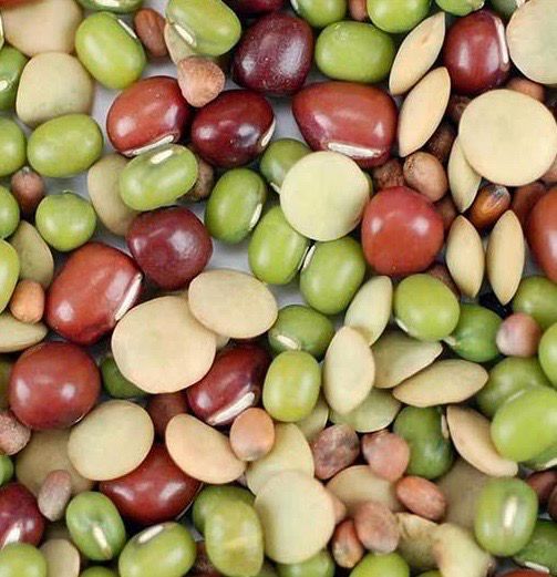 Handy Pantry Bean Salad Sprouting Add-on
