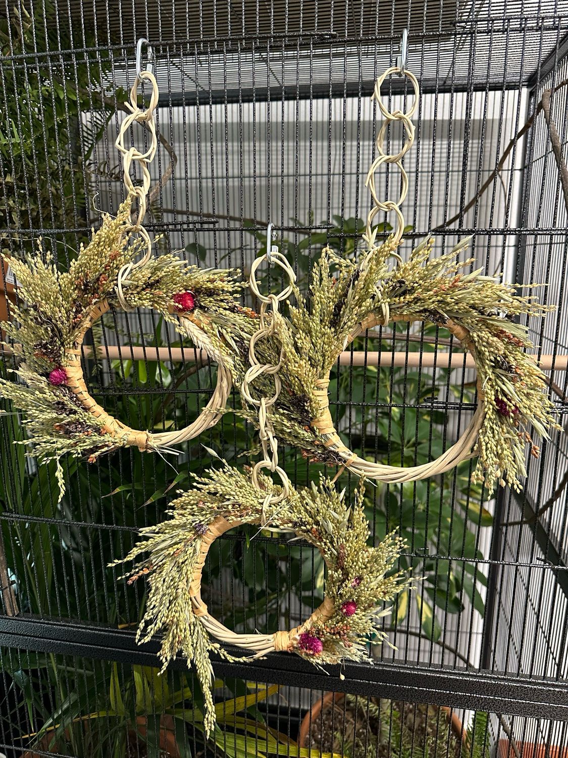 Biodiversity Foraging Wreath