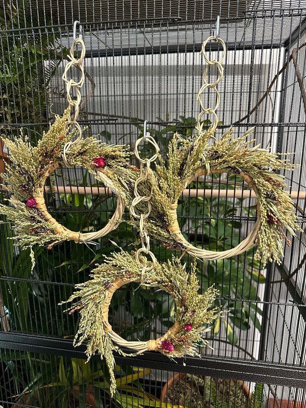 Biodiversity Foraging Wreath