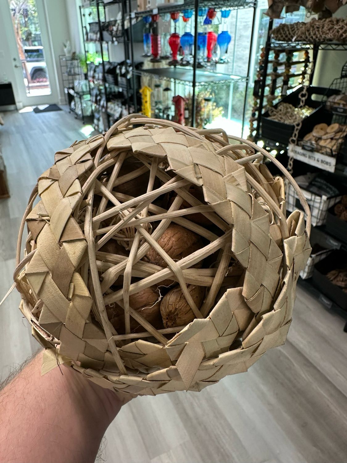 What A Nutjob! Forager
