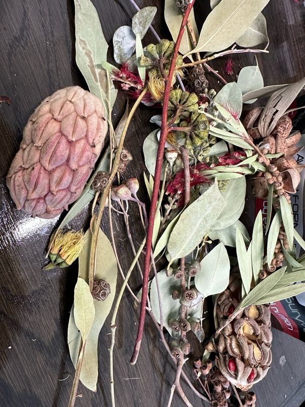 Biodiversity Go Wild Down Under! Australian Foraging Blend