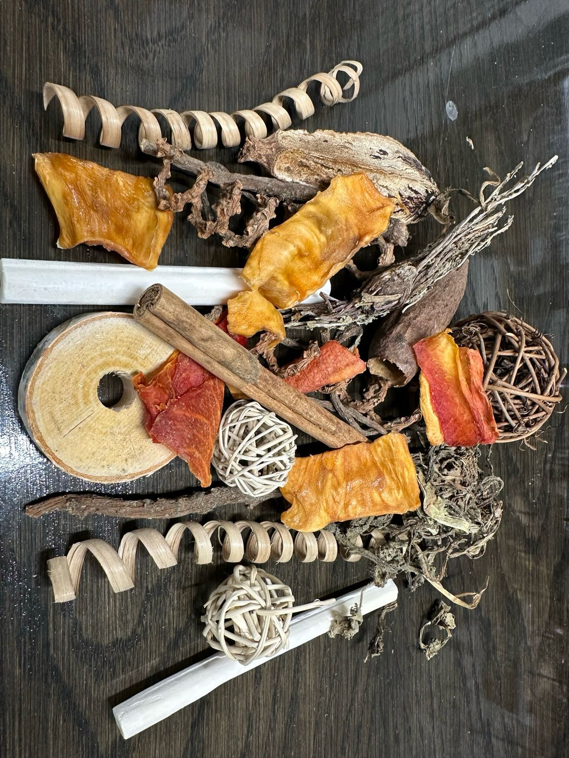 Fall Forest Forage