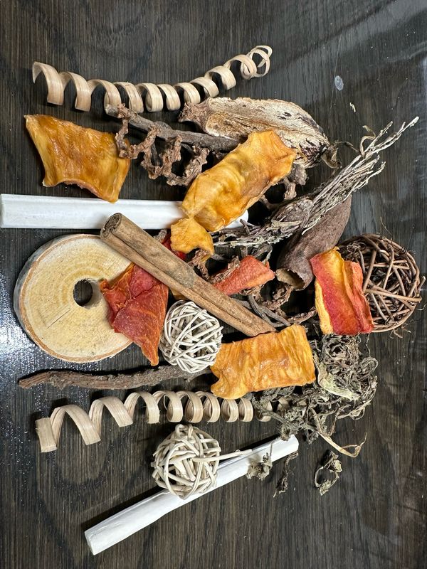 Fall Forest Forage
